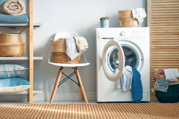 Energy-Efficient Laundry: Why Lloyd Washing Machine is the Smart Choice